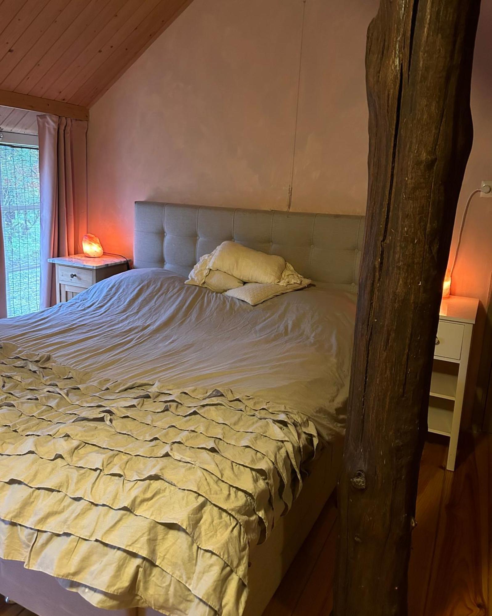 Landgoed De Bongel Bed and Breakfast De Wijk Εξωτερικό φωτογραφία